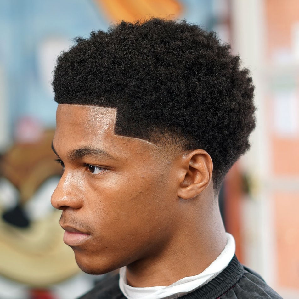 Curly Sponge Afro with Low Taper Fade